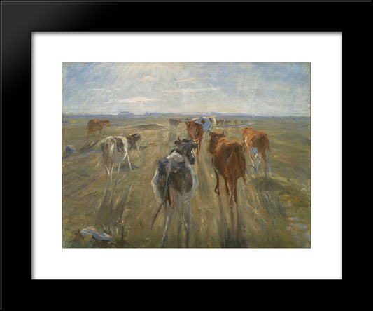 Long Shadows. Cattle On The Island Of Saltholm 20x24 Black Modern Wood Framed Art Print Poster by Philipsen, Theodor