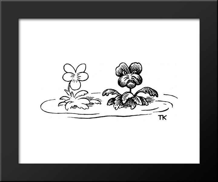 Daisies 20x24 Black Modern Wood Framed Art Print Poster by Kittelsen, Theodor Severin