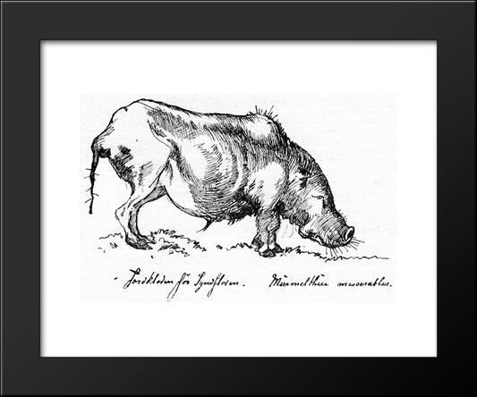 Jordkloden 20x24 Black Modern Wood Framed Art Print Poster by Kittelsen, Theodor Severin