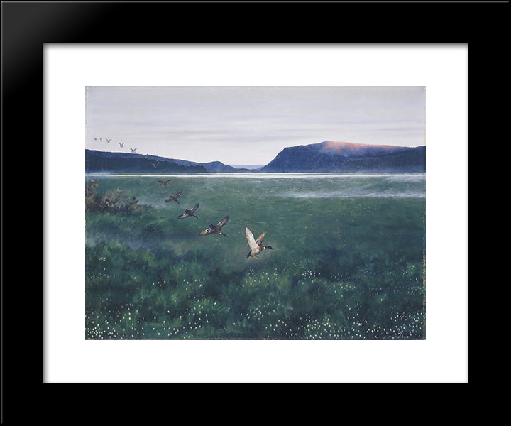 The 12 Wild Ducks 12 Villender 20x24 Black Modern Wood Framed Art Print Poster by Kittelsen, Theodor Severin