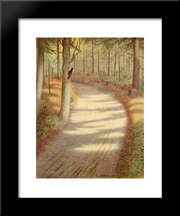 Woodpecker 20x24 Black Modern Wood Framed Art Print Poster by Kittelsen, Theodor Severin