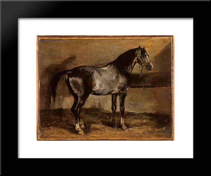 Gray Horse Rack 20x24 Black Modern Wood Framed Art Print Poster by Gericault, Theodore