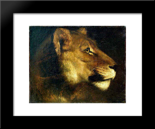 Head Of Lioness 20x24 Black Modern Wood Framed Art Print Poster by Gericault, Theodore