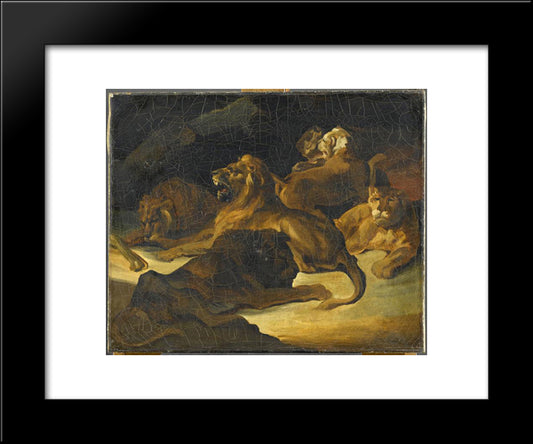 Lying Lions 20x24 Black Modern Wood Framed Art Print Poster by Gericault, Theodore