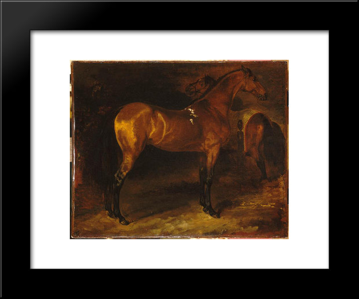 Spanish Horse In A Stable 20x24 Black Modern Wood Framed Art Print Poster by Gericault, Theodore