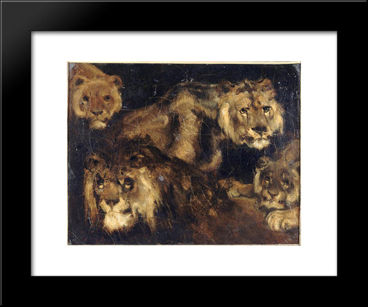 Study For Four Lions 20x24 Black Modern Wood Framed Art Print Poster by Gericault, Theodore