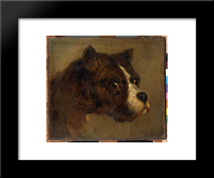 The Head Of Bulldog 20x24 Black Modern Wood Framed Art Print Poster by Gericault, Theodore