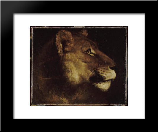 The Head Of Lion 20x24 Black Modern Wood Framed Art Print Poster by Gericault, Theodore