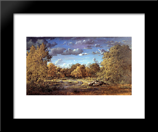 Glade Of The Reine Blanche In The Fontainebleau Forest 20x24 Black Modern Wood Framed Art Print Poster by Rousseau, Theodore