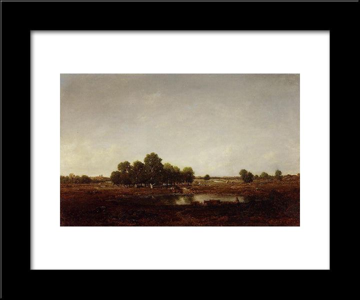 Marsh Land 20x24 Black Modern Wood Framed Art Print Poster by Rousseau, Theodore