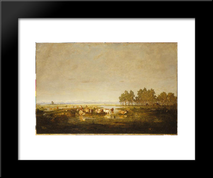 Marshland In Les Landes 20x24 Black Modern Wood Framed Art Print Poster by Rousseau, Theodore