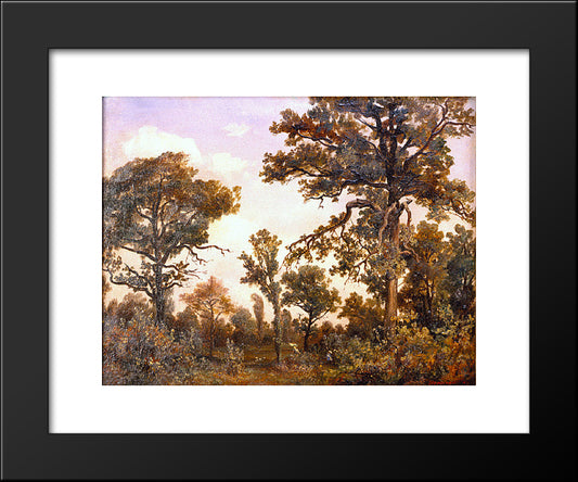 The Large Oak Tree, Forest Of Fontainebleau 20x24 Black Modern Wood Framed Art Print Poster by Rousseau, Theodore