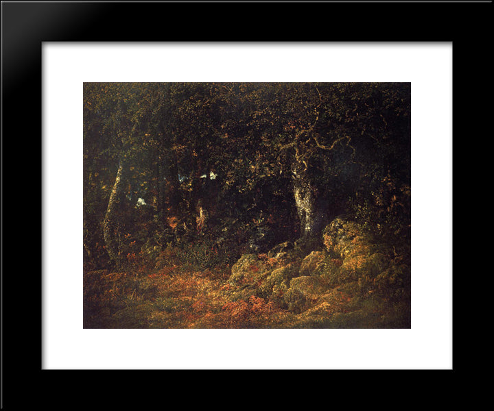 The Oak In The Rocks 20x24 Black Modern Wood Framed Art Print Poster by Rousseau, Theodore