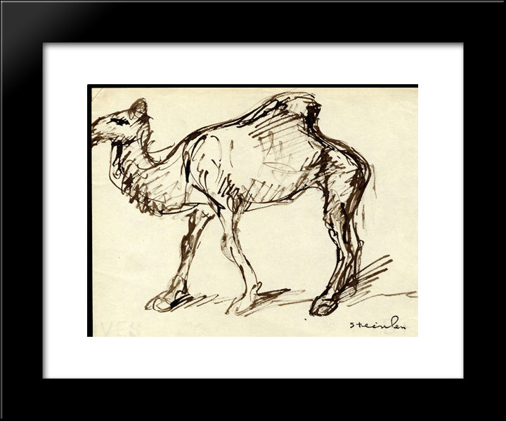 Camel 20x24 Black Modern Wood Framed Art Print Poster by Steinlen, Theophile