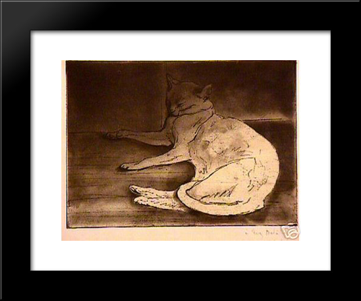 Cat Etching 20x24 Black Modern Wood Framed Art Print Poster by Steinlen, Theophile
