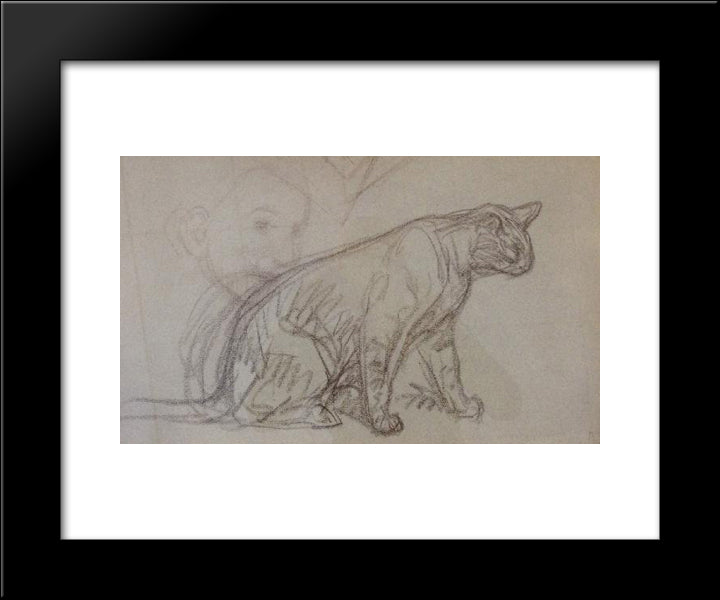 Cat Sketch 20x24 Black Modern Wood Framed Art Print Poster by Steinlen, Theophile
