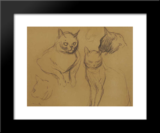 Cat Sketches 20x24 Black Modern Wood Framed Art Print Poster by Steinlen, Theophile