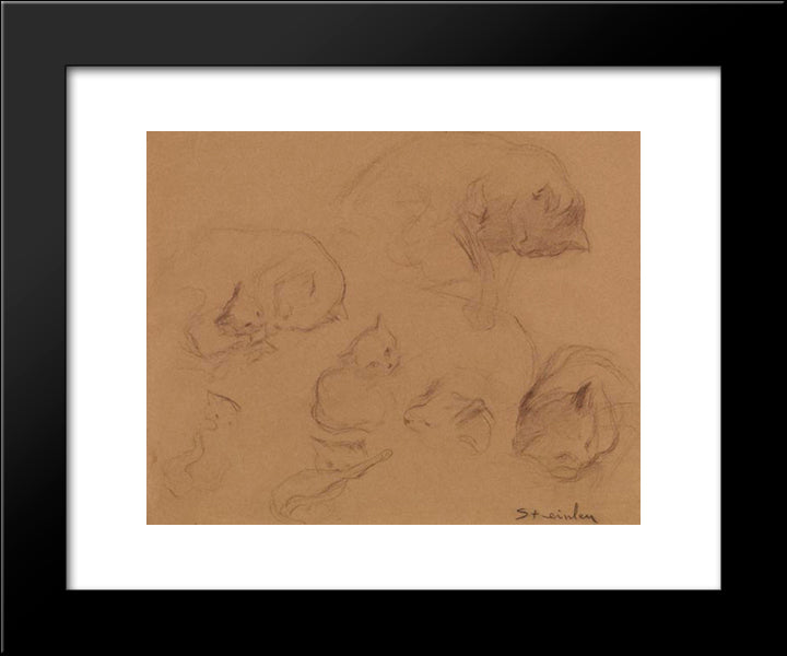 Cat Study 20x24 Black Modern Wood Framed Art Print Poster by Steinlen, Theophile