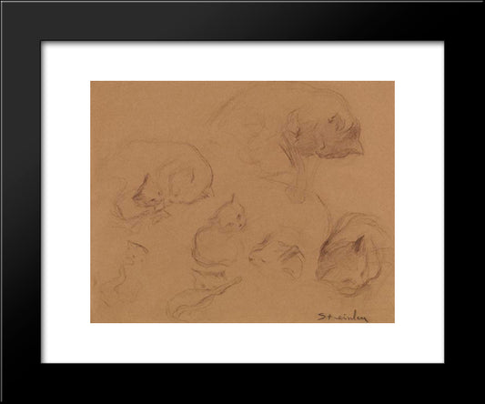 Cat Study 20x24 Black Modern Wood Framed Art Print Poster by Steinlen, Theophile