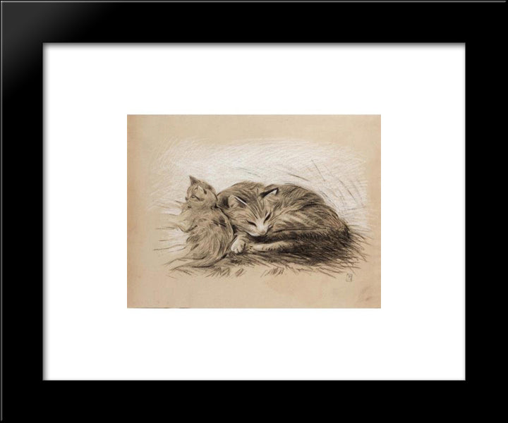 Cats Drawing 20x24 Black Modern Wood Framed Art Print Poster by Steinlen, Theophile