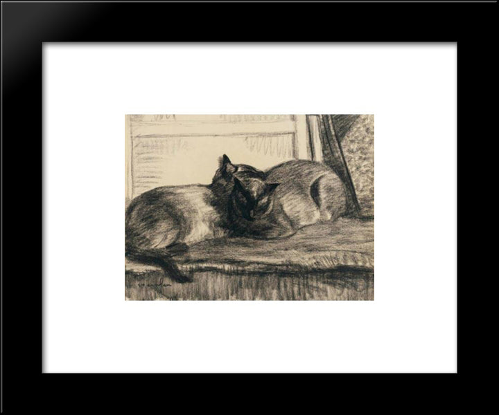 Cats Sleeping In The Studio 20x24 Black Modern Wood Framed Art Print Poster by Steinlen, Theophile