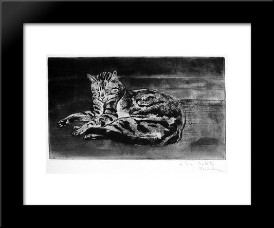 Chat On The Floor 20x24 Black Modern Wood Framed Art Print Poster by Steinlen, Theophile