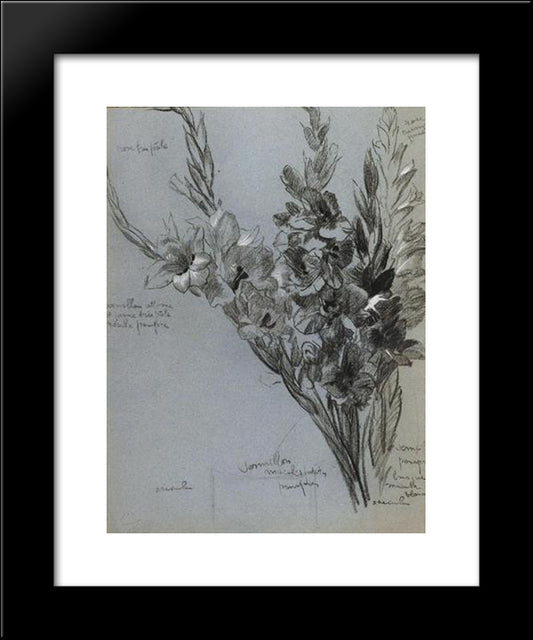 Les Glaieuls 20x24 Black Modern Wood Framed Art Print Poster by Steinlen, Theophile