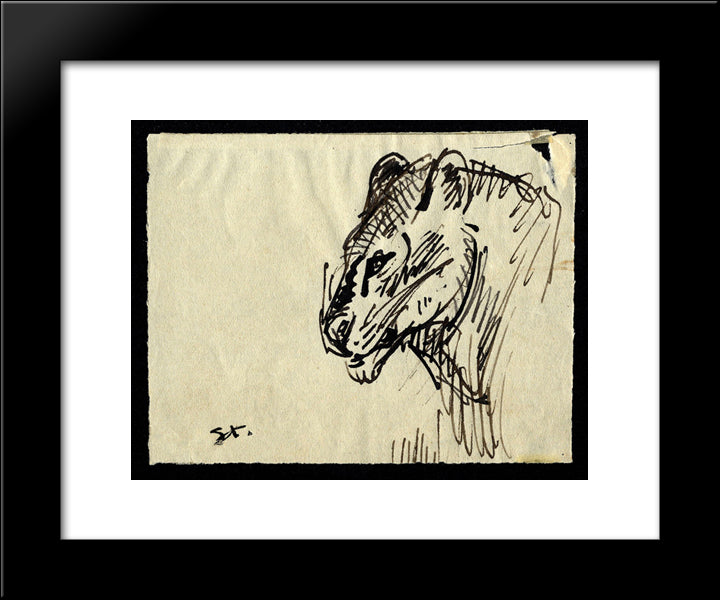 Lion 20x24 Black Modern Wood Framed Art Print Poster by Steinlen, Theophile