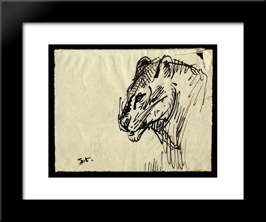 Lion 20x24 Black Modern Wood Framed Art Print Poster by Steinlen, Theophile