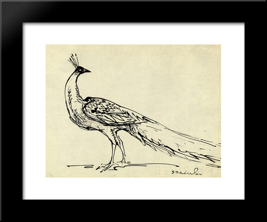 Peacock 20x24 Black Modern Wood Framed Art Print Poster by Steinlen, Theophile