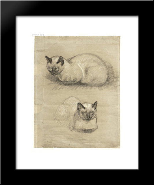 Siamese Cats 20x24 Black Modern Wood Framed Art Print Poster by Steinlen, Theophile