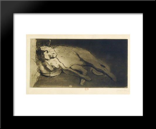 Sleeping Cat 20x24 Black Modern Wood Framed Art Print Poster by Steinlen, Theophile
