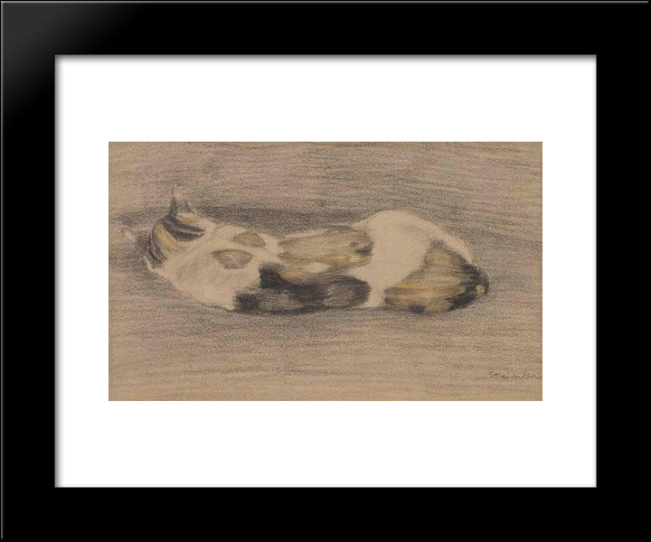 Sleeping Tricolor Cate 20x24 Black Modern Wood Framed Art Print Poster by Steinlen, Theophile