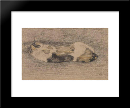 Sleeping Tricolor Cate 20x24 Black Modern Wood Framed Art Print Poster by Steinlen, Theophile