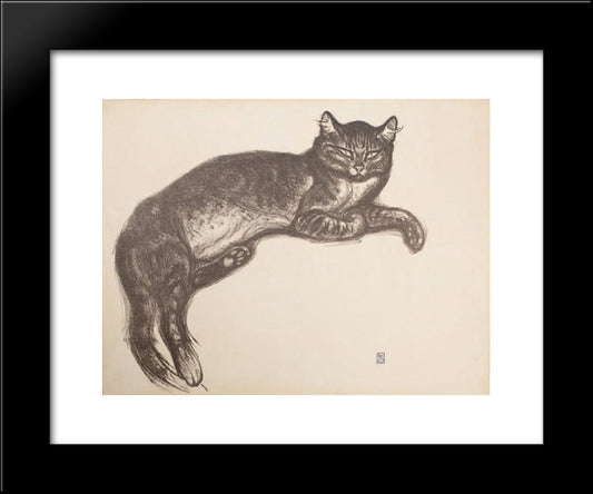 Study For L'Hiver - Cat On A Cushion 20x24 Black Modern Wood Framed Art Print Poster by Steinlen, Theophile