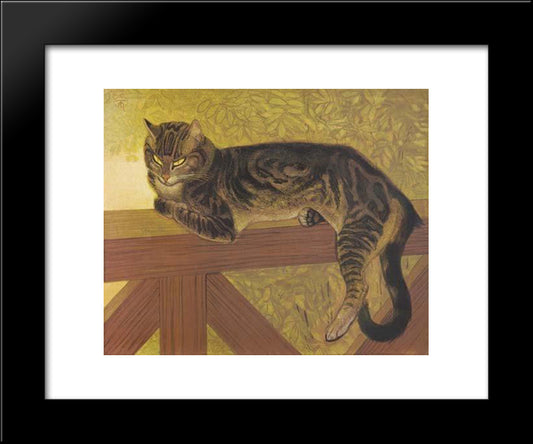 The Summer - Cat On A Balustrade 20x24 Black Modern Wood Framed Art Print Poster by Steinlen, Theophile