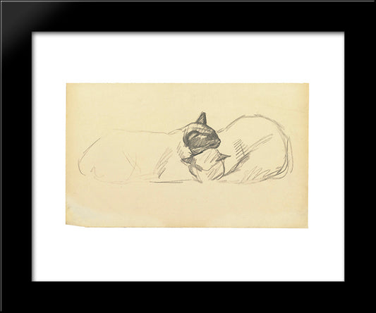 Two Sleeping Cats 20x24 Black Modern Wood Framed Art Print Poster by Steinlen, Theophile