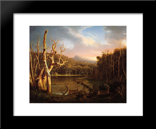 Lake With Dead Trees (Catskill) 20x24 Black Modern Wood Framed Art Print Poster by Cole, Thomas