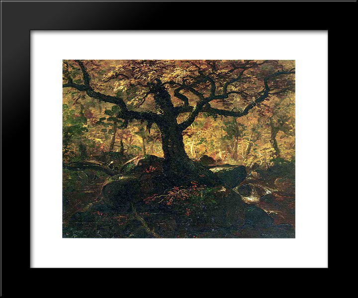 Tree In The Catskills 20x24 Black Modern Wood Framed Art Print Poster by Cole, Thomas