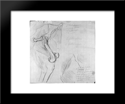 Anatomical Drawing 20x24 Black Modern Wood Framed Art Print Poster by Eakins, Thomas
