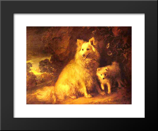 Pomeranian Bitch And Pup 20x24 Black Modern Wood Framed Art Print Poster by Gainsborough, Thomas