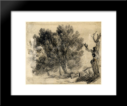 Study Of Willows 20x24 Black Modern Wood Framed Art Print Poster by Gainsborough, Thomas