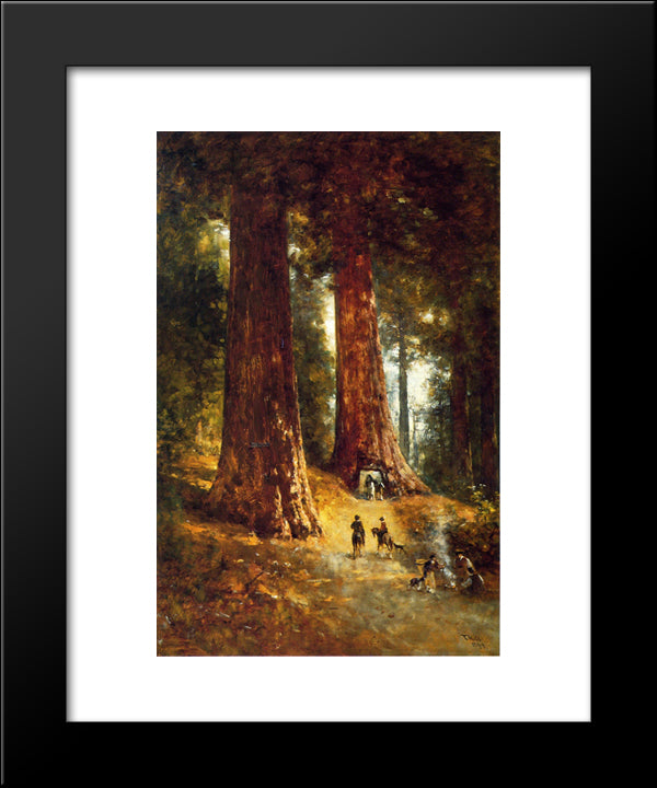 In The Redwoods 20x24 Black Modern Wood Framed Art Print Poster by Hill, Thomas