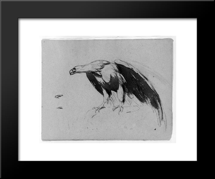 Eagle (From Sketchbook) 20x24 Black Modern Wood Framed Art Print Poster by Sully, Thomas