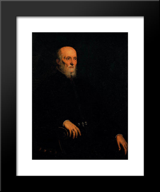 Portrait Of Alvise Cornaro 20x24 Black Modern Wood Framed Art Print Poster by Tintoretto