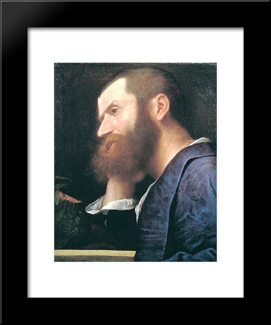 Portrait Of Aretino 20x24 Black Modern Wood Framed Art Print Poster by Titian