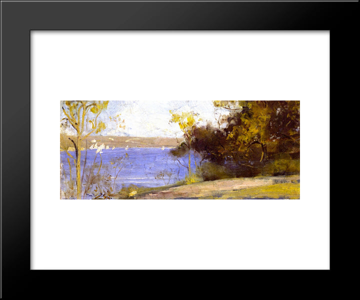 Landscape, Cremorne 20x24 Black Modern Wood Framed Art Print Poster by Roberts, Tom