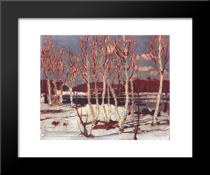 April In Algonquin Park 20x24 Black Modern Wood Framed Art Print Poster by Thomson, Tom