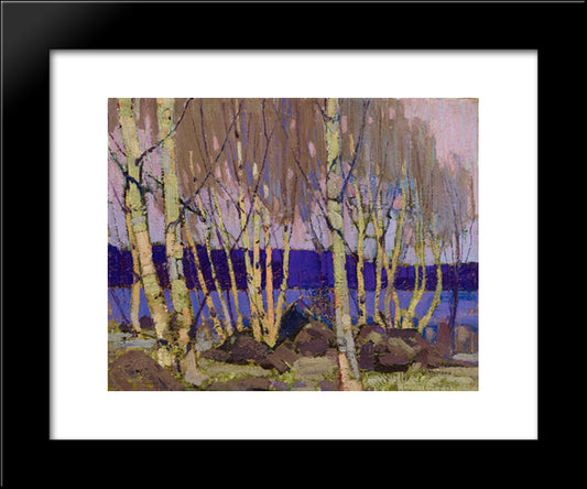 Evening, Canoe Lake 20x24 Black Modern Wood Framed Art Print Poster by Thomson, Tom