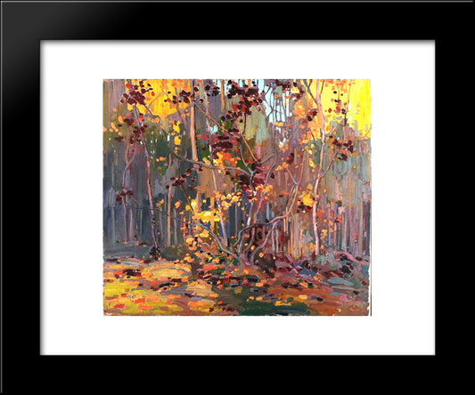 Maple Saplings 20x24 Black Modern Wood Framed Art Print Poster by Thomson, Tom